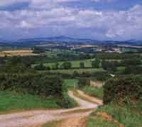 View of the Preseli Hills