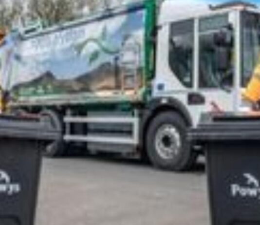 Staff shortages causing disruption to bin collections