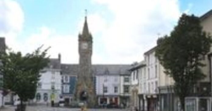 Have your say on the future of street trees in Machynlleth
